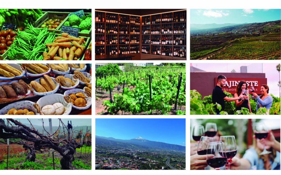 Tenerife GastroWine Tours: Una experiencia auténtica y sostenible que pone en contacto directo al visitante con productos y vinos canarios
